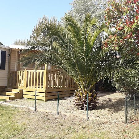 Mobil Home Neuf 2 Chambres 6 Personnes Saint Aygulf Plage Fréjus Eksteriør billede